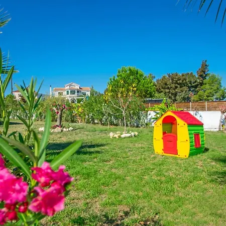 Zante Sunny Ii Kalpaki (Zakynthos)